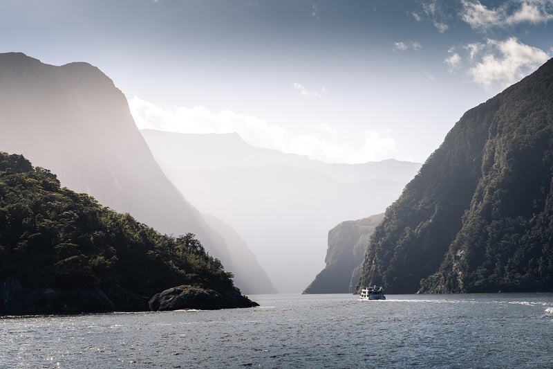 New Zealand Landscape